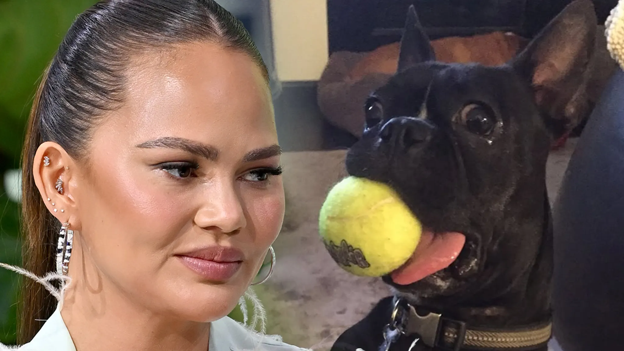 Chrissy Teigen anunță moartea câinelui său